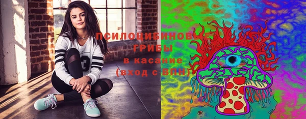 мдпв Алзамай