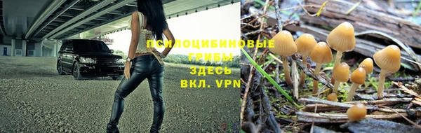 эйфоретик Алексеевка