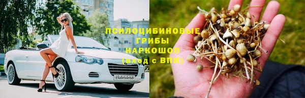 эйфоретик Алексеевка