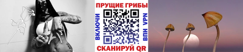 сколько стоит  Калтан  Галлюциногенные грибы Magic Shrooms 